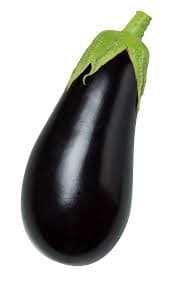 AUBERGINE