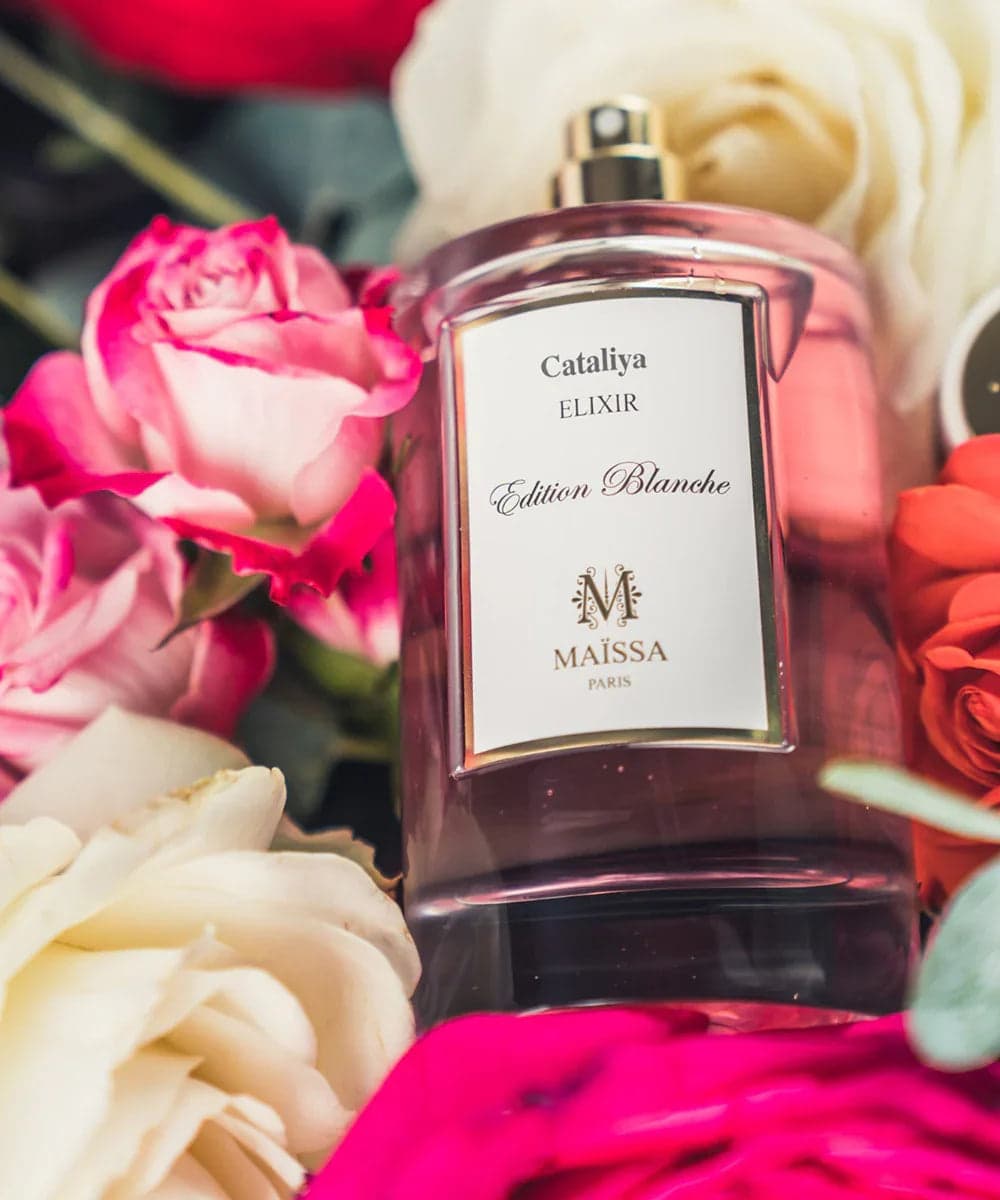 CATALIYA Édition Blanche MAÏSSA