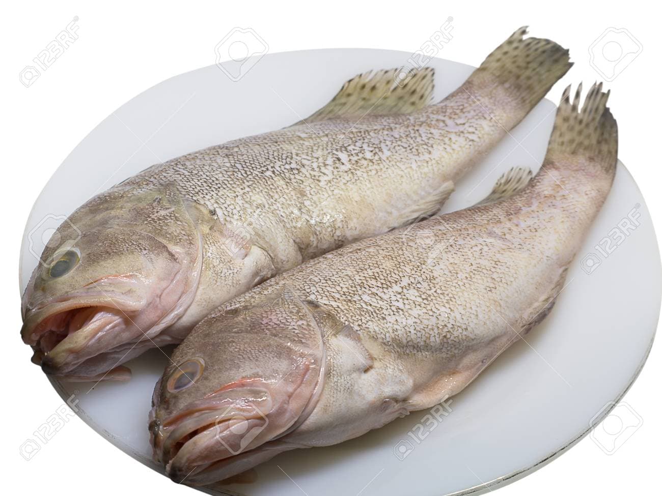 Poisson Merou ( le kilo )