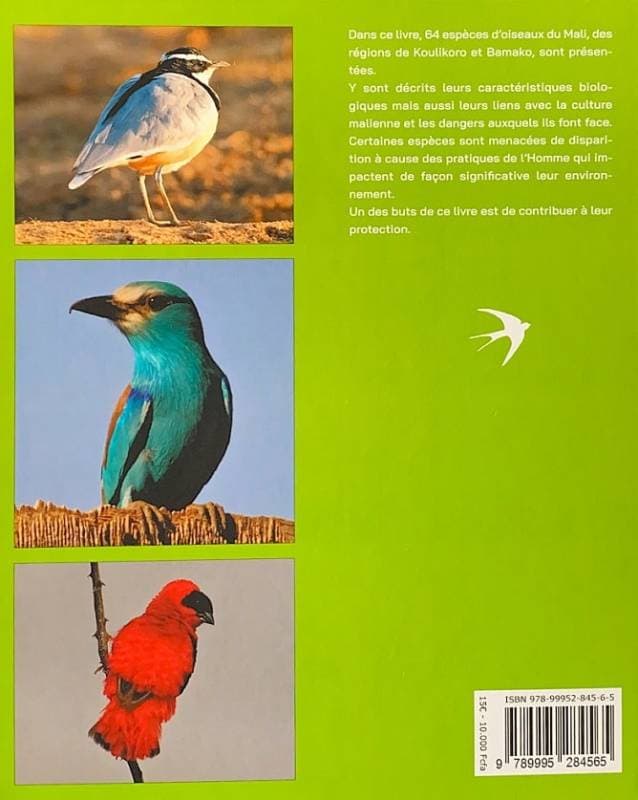 Oiseaux du Mali 